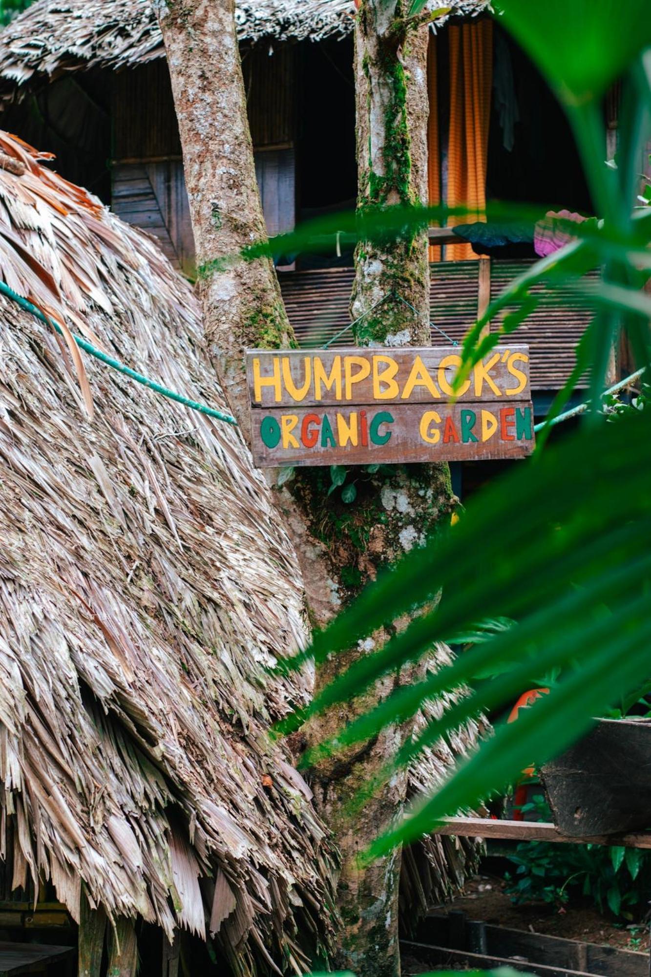 The Humpback Turtle Hotel El Valle  Exterior photo