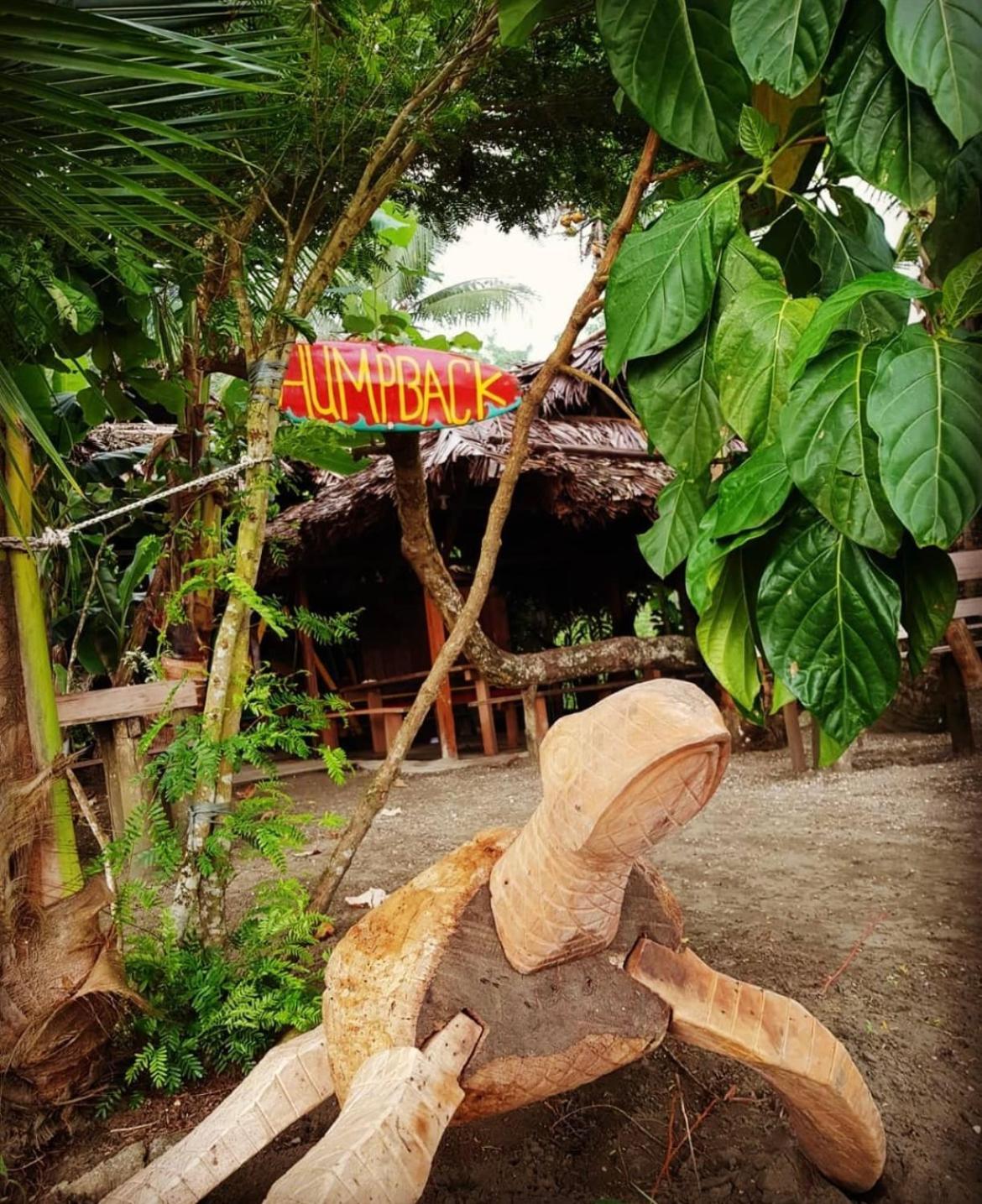 The Humpback Turtle Hotel El Valle  Exterior photo